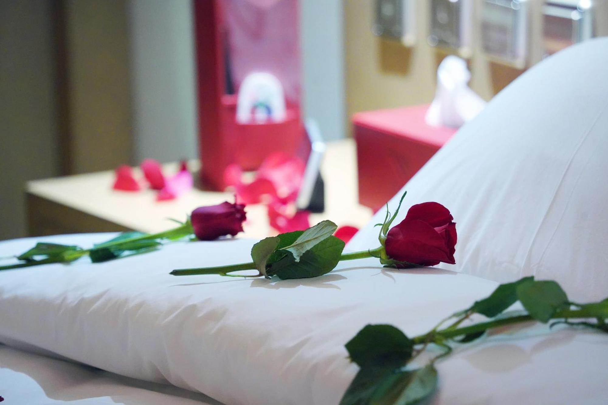 Hotel Redwaves ريدويفز 4*